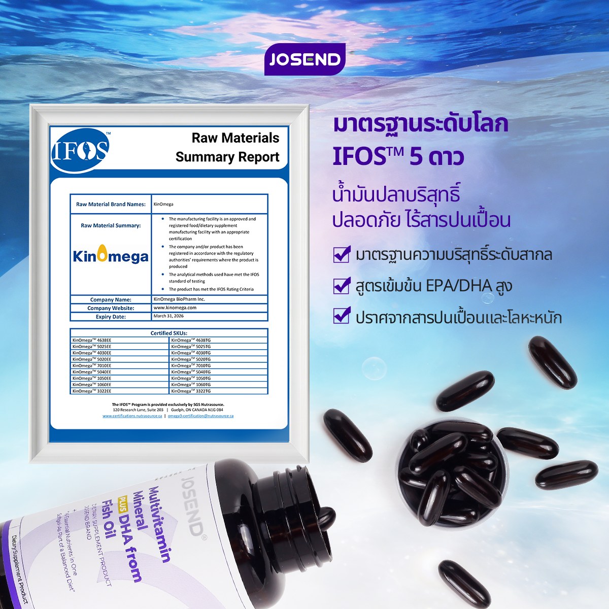 Multivitamin Mineral Plus DHA from Fish Oil
