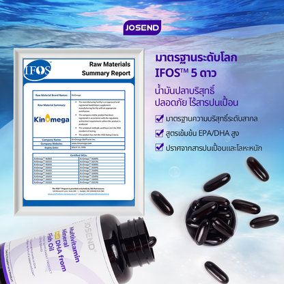 Multivitamin Mineral Plus DHA from Fish Oil